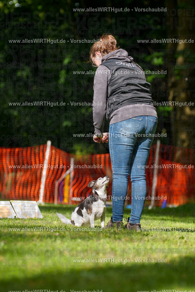 @allesWIRTHgut_Tierfotografie - www.allesWIRTHgut.de - 083001-7R506240 | Professionelle Tierfotografie in Mönchengladbach von Daniel Wirth (allesWIRTHgut). Liebevolle & natürliche Bilder von Hunden & Katzen für unvergessliche Erinnerungen.