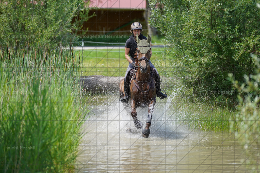20240622-FAH07179 | Turnierfotografen Bayern, Reitsportbilder aus dem Geländekurs mit Felix Etzel auf dem Gut Waitzacker 2024