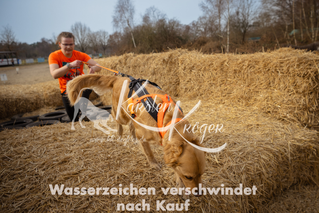 1101_ZZ91666 | kk-dogfotos