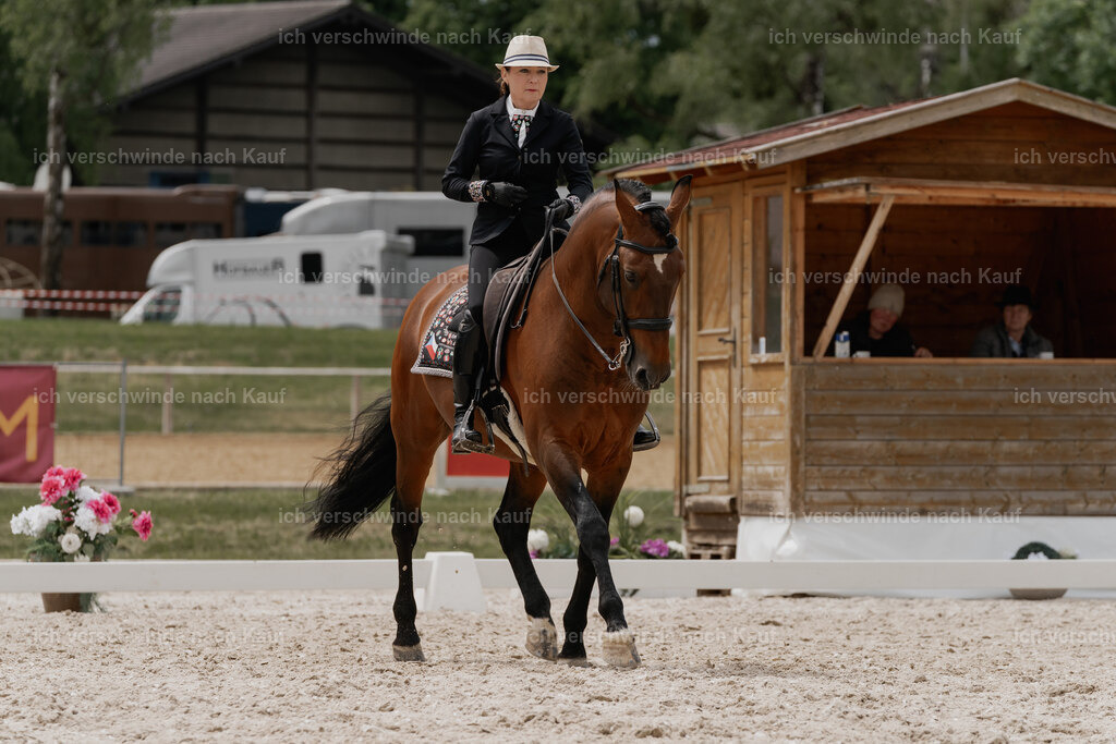WE_DR_Stoib_322_PI2025_346 | Pferd International München 2025