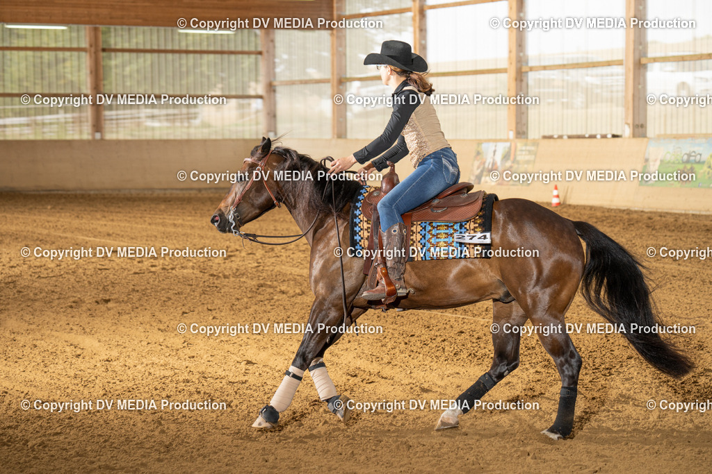 LAU01493 | dv-media-shop - Realisiert mit Pictrs.com