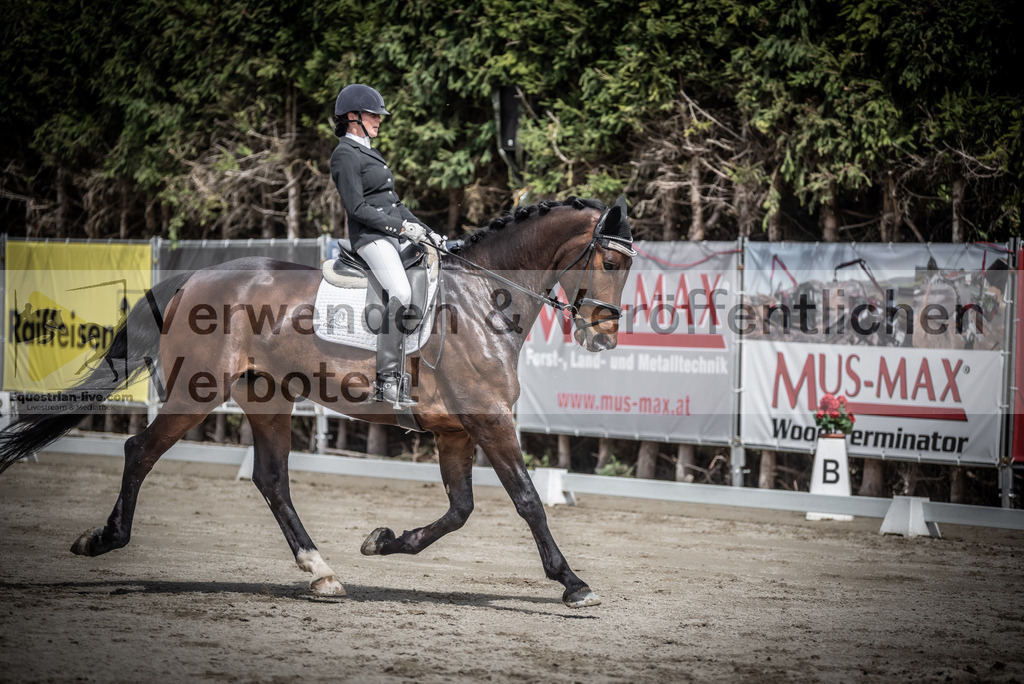 DSC_2281 | equestrian-live-com