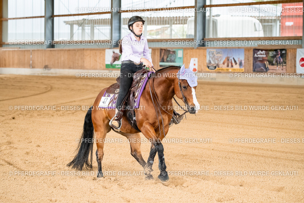 DSC02090 | Pferdegrafie