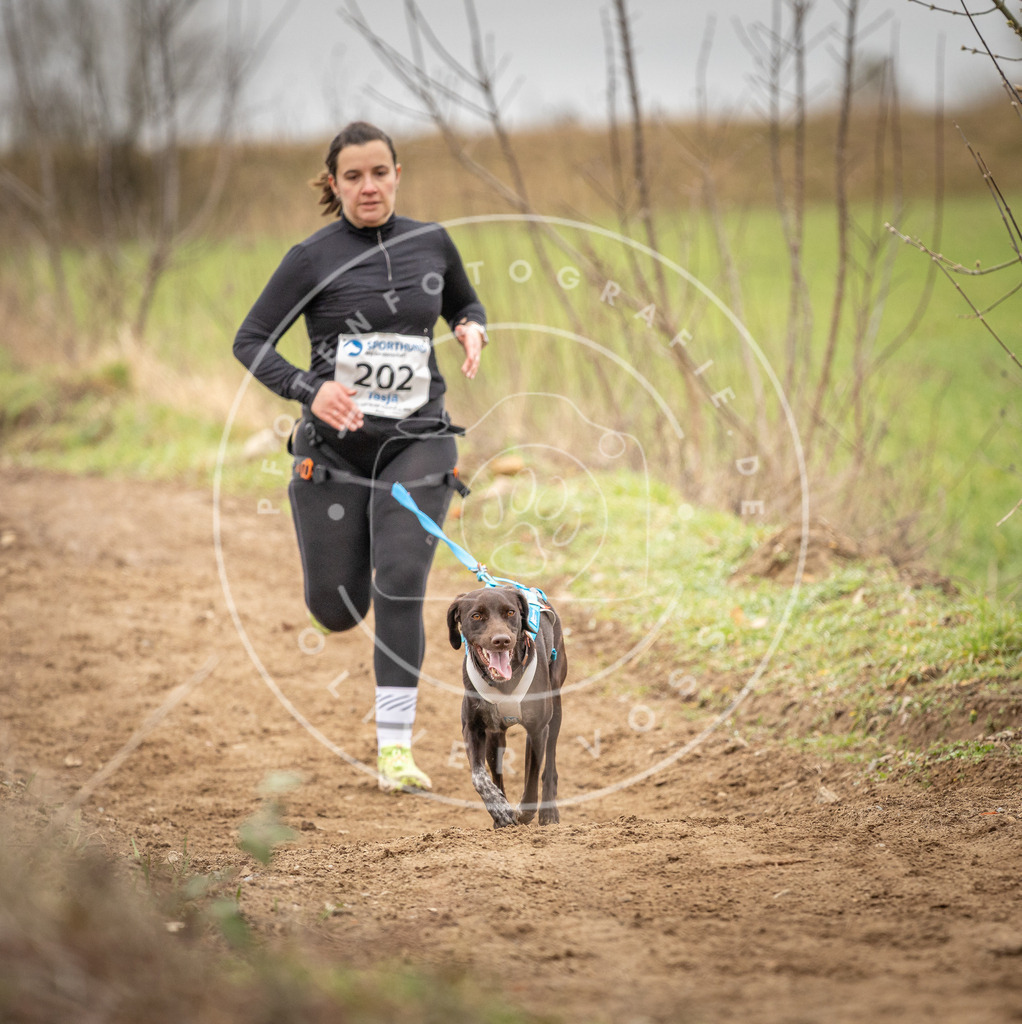 DV3A2506 | Hundefotografie, Tierfotograf, Pfotenfotografie, Fotoshooting Hund, Hunde Portrait, Hundesport, Hundeportraits, Heideshooting, Hunde, Sportfotograf, Hundefotograf, Turnierhundsport, THS,  - Realisiert mit Pictrs.com