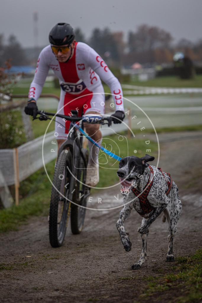 CaniXpix_0L8A0975 | Hundefotografie, Tierfotograf, Pfotenfotografie, Fotoshooting Hund, Hunde Portrait, Hundesport, Hundeportraits, Heideshooting, Hunde, Sportfotograf, Hundefotograf, Turnierhundsport, THS,  - Realisiert mit Pictrs.com