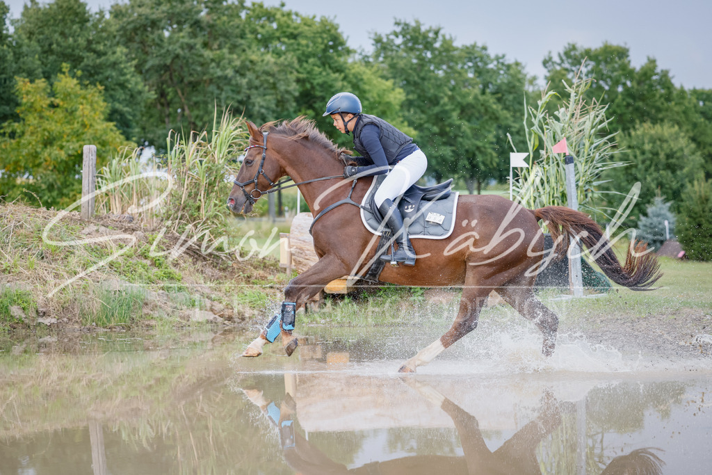 20250905-_3LI1776 | Tierfotografie Pferde, Hunde, Katzen, Haustiere.
Turnierfotografie Reitturniere, Reiten, Springreiten, Dressur in Hanau, dem Main-Kinzig-Kreis und dem Rhein-Main- Gebiet um Frankfurt