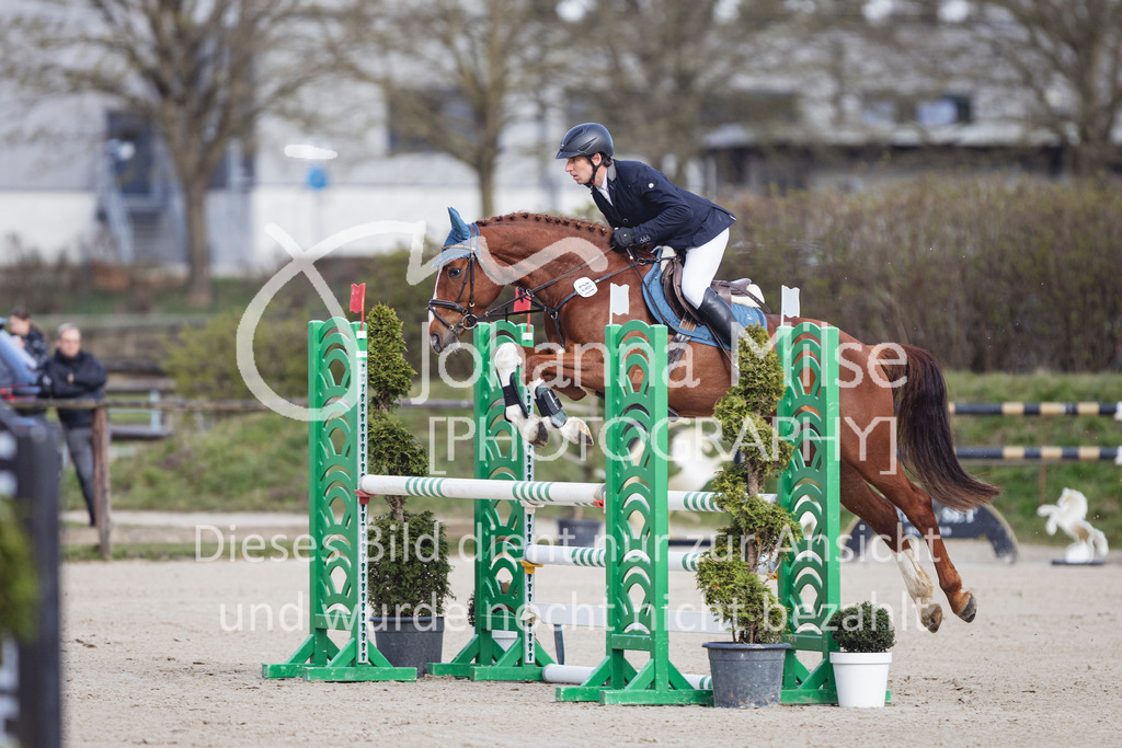 260404_Fruehlingsfest_SprPf-L-208 | Deine schönsten Turniermomente als professionelle Fotos! Entdecke hochwertige Pferdesport-Fotografie im Online-Shop. Jetzt Fotos finden & bestellen!