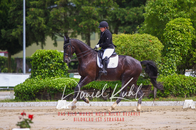 DKP40581 | Turniersportfotografie; Pferdefotografie; Dressurfotografie