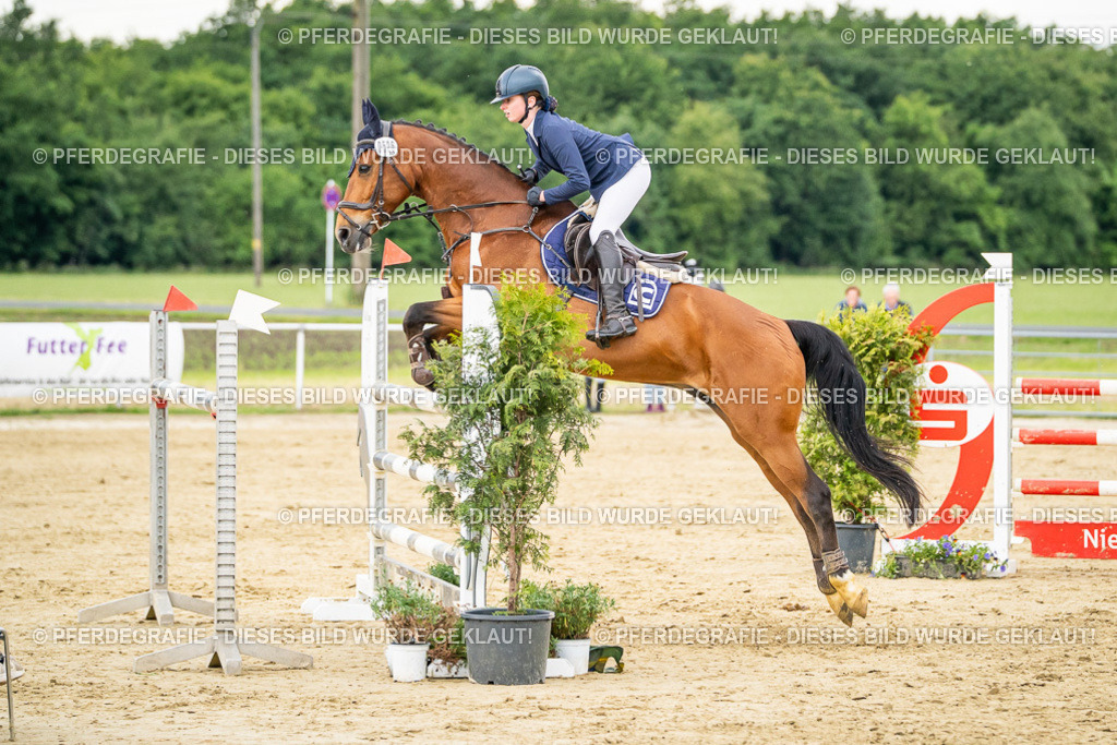 DSC06828 | Pferdegrafie