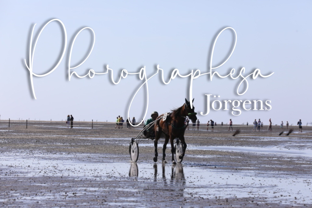 IMG_0370 | photographesa-joergens - Realisiert mit Pictrs.com