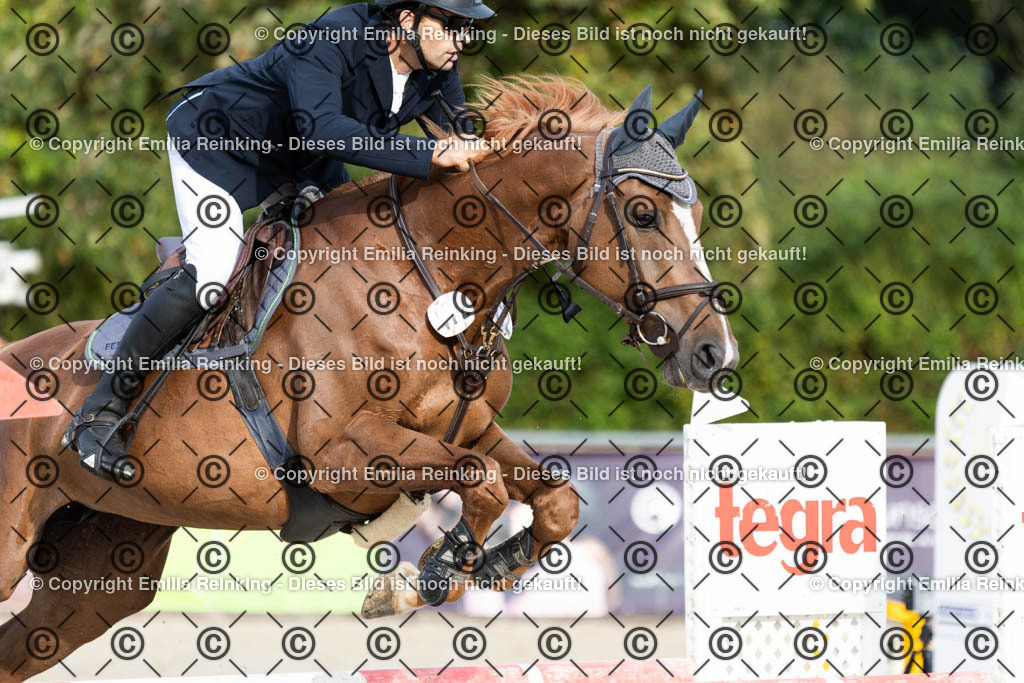 CL5A0168 | Emilia Reinking Fotografie - Realisiert mit Pictrs.com