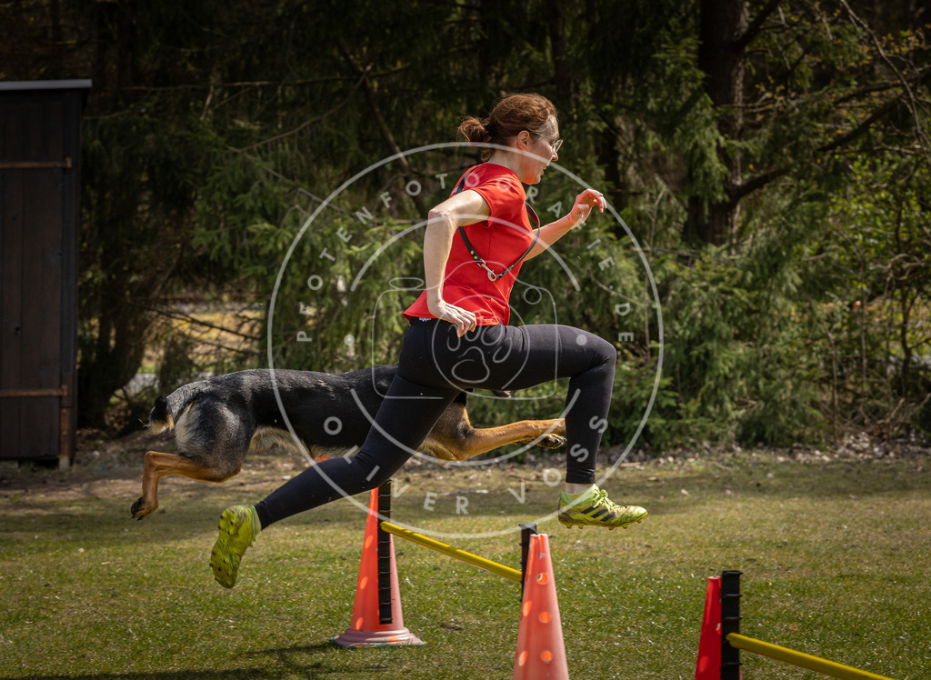Pfotenfotografie_DV3A3985 | Hundefotografie, Tierfotograf, Pfotenfotografie, Fotoshooting Hund, Hunde Portrait, Hundesport, Hundeportraits, Heideshooting, Hunde, Sportfotograf, Hundefotograf, Turnierhundsport, THS,  - Realisiert mit Pictrs.com
