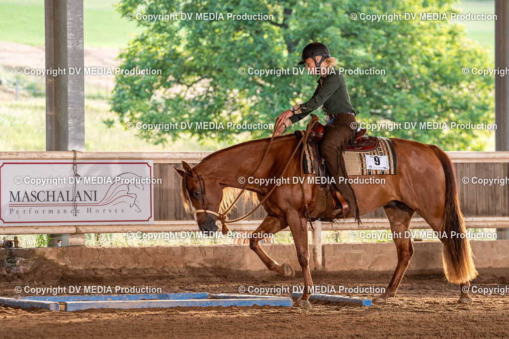 Erbach Tag 2-40 | dv-media-shop - Realisiert mit Pictrs.com