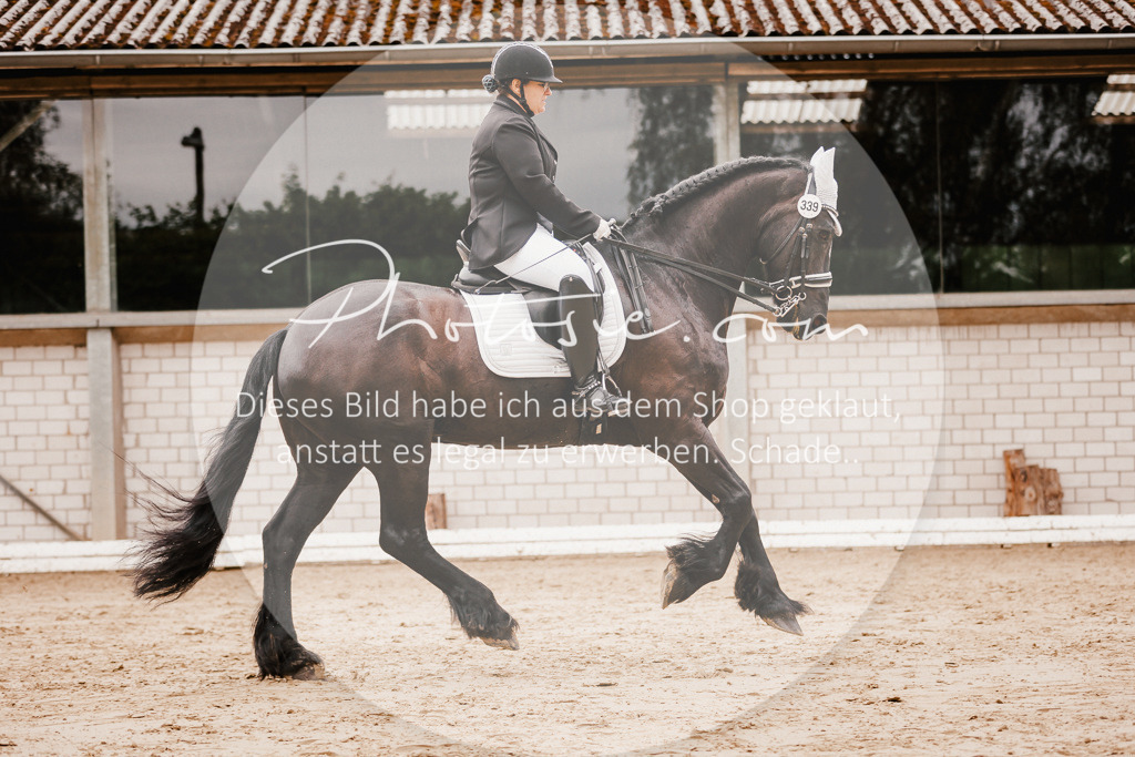 3I6A7735 | Stimmungsvolle Portraits und Reitsportfotografie im Ruhrgebiet und im Münsterland.

Pferdefotografie, Hundefotografie, Tierfotografie, Reportagen, Portraits von Tier und Mensch, Turnierfotografie in Bochum, Recklinghausen, Marl, Haltern am See, Dülmen.. - Realisiert mit Pictrs.com
