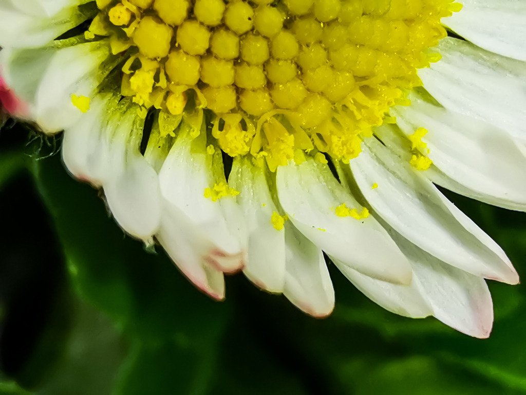 PSX_20230216_225114 | mtkfoto_ - Realisiert mit Pictrs.com