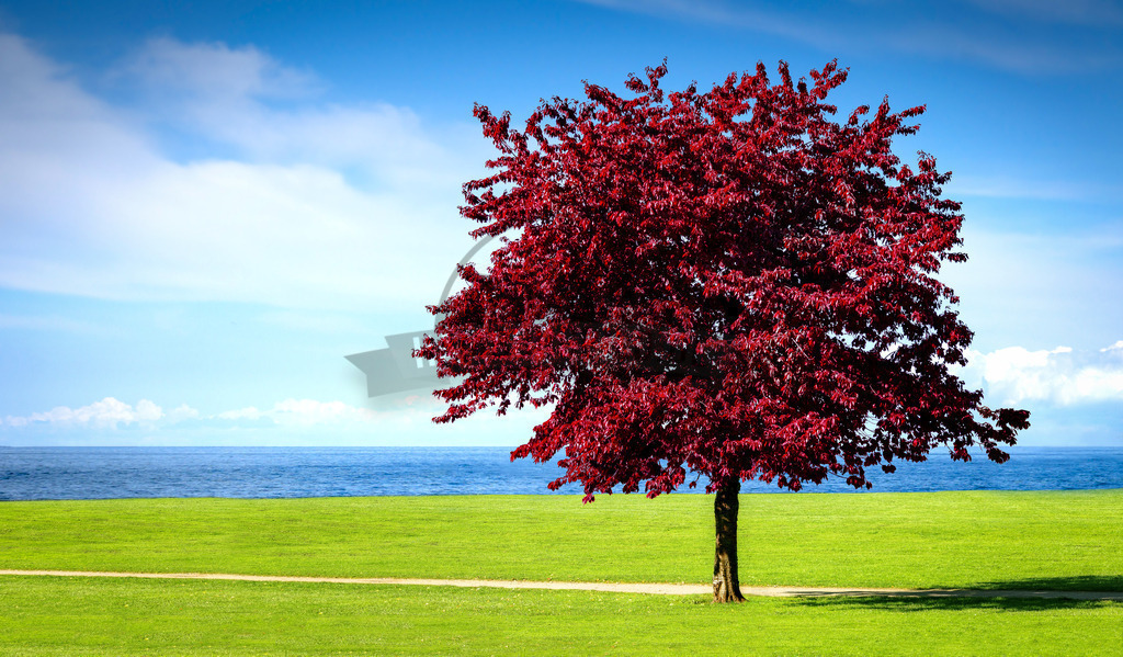 stativkunst-340 | Exklusive Hamburg collagen, tolle Segelbilder und viele weitere tolle Motive auf Leinwand, Poster, Alu-Dibond, u.v.m. findet Ihr bei uns auf hamburgbild.de. Findet Euer Wandbild für Euer Zuhause, Büro oder die  Praxis…. - Realisiert mit Pictrs.com