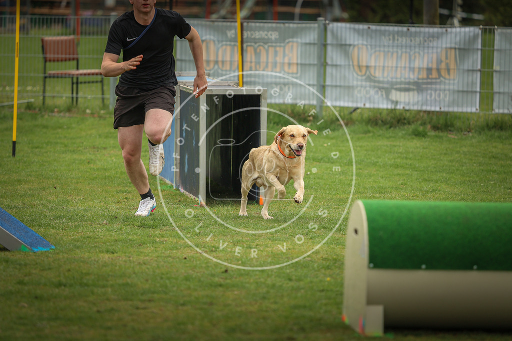 Pfotenfotografie_0L8A1624 | Hundefotografie, Tierfotograf, Pfotenfotografie, Fotoshooting Hund, Hunde Portrait, Hundesport, Hundeportraits, Heideshooting, Hunde, Sportfotograf, Hundefotograf, Turnierhundsport, THS,  - Realisiert mit Pictrs.com