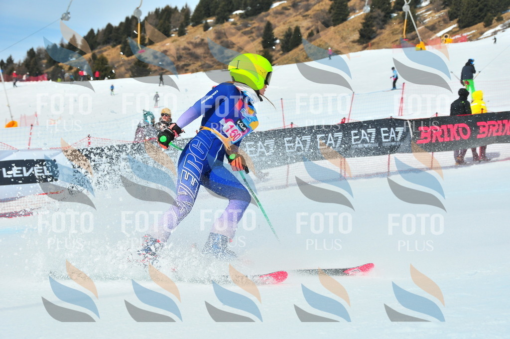 DSC_5166 | holidayphoto