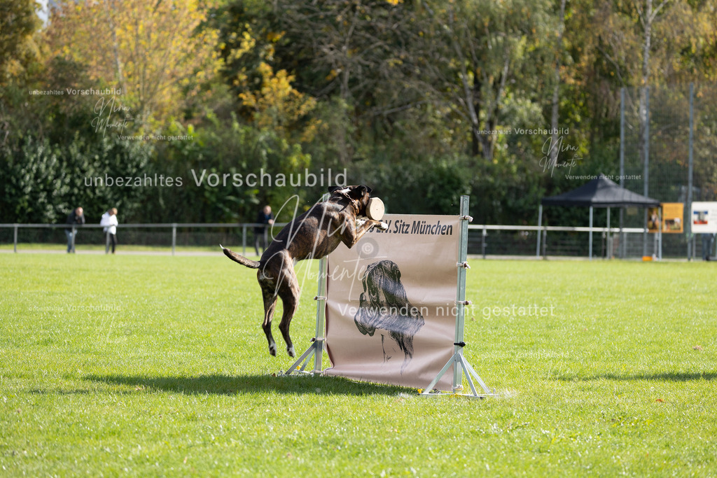 _16A6903 | Einzigartige Fotos von Hunden & Menschen –Actionfotos, Portraits, Vereinsaufnahmen & Paarshootings – authentisch, lebendig & mit Herz.