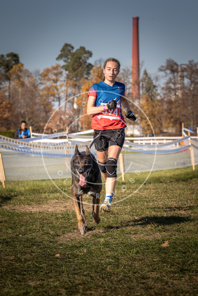 CaniXpix_0L8A8443 | Hundefotografie, Tierfotograf, Pfotenfotografie, Fotoshooting Hund, Hunde Portrait, Hundesport, Hundeportraits, Heideshooting, Hunde, Sportfotograf, Hundefotograf, Turnierhundsport, THS,  - Realisiert mit Pictrs.com