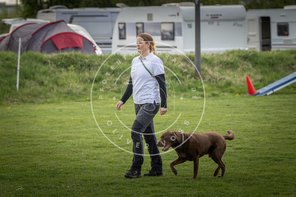 Pfotenfotografie_DV3A4943 | Hundefotografie, Tierfotograf, Pfotenfotografie, Fotoshooting Hund, Hunde Portrait, Hundesport, Hundeportraits, Heideshooting, Hunde, Sportfotograf, Hundefotograf, Turnierhundsport, THS,  - Realisiert mit Pictrs.com