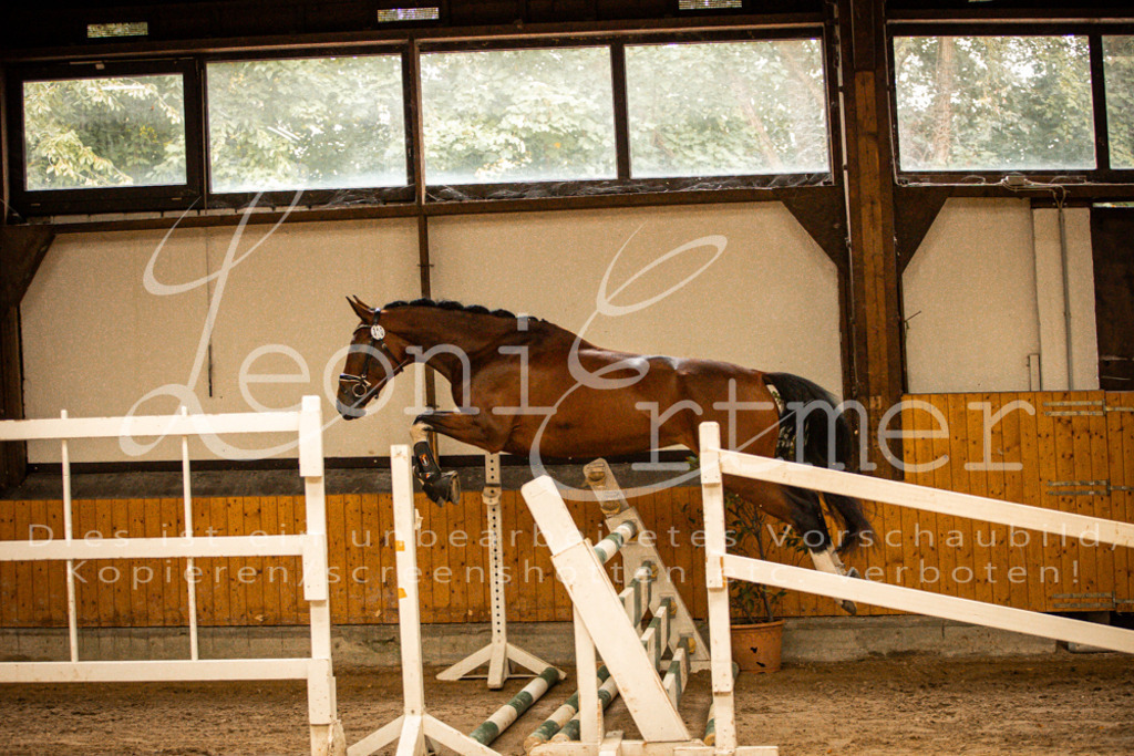 2FS_L00021 | Leoni Ertmer Photography - Realisiert mit Pictrs.com