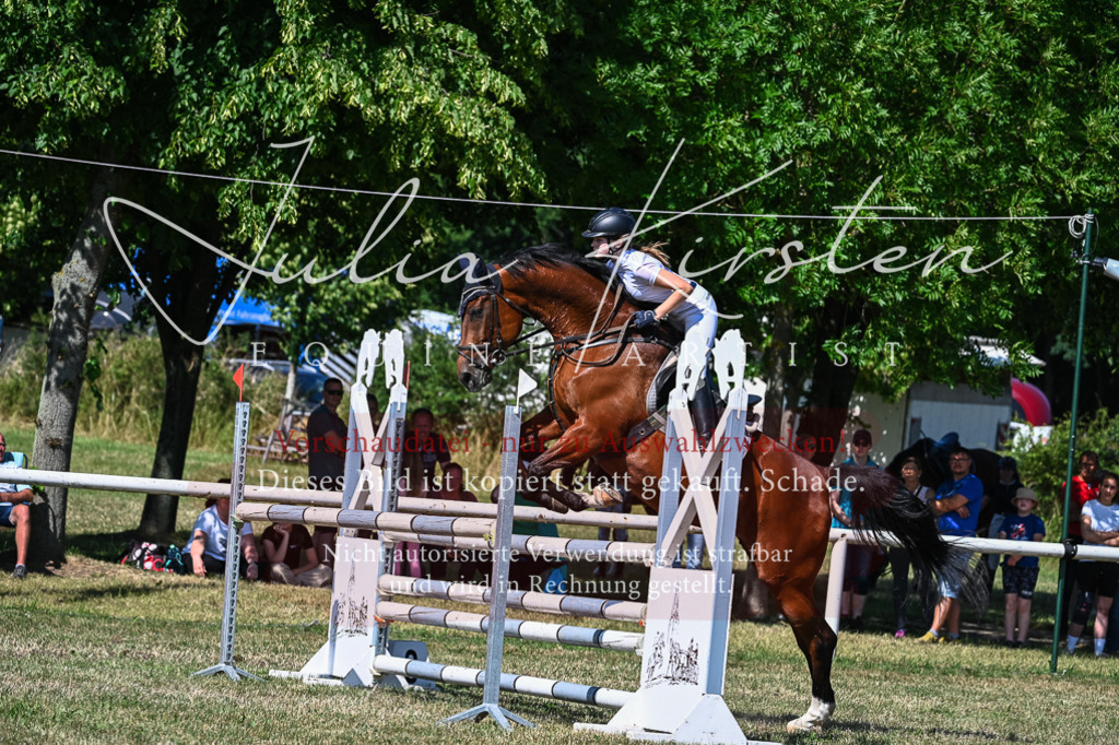 DSC_1730 | Pferde- und Turnierfotografie in Westsachsen. Pferdeportraits, Auftragszeichnungen und intuitive Kunst.