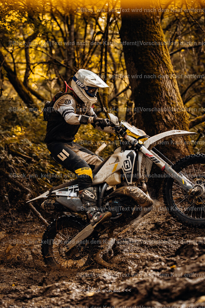 E68A6203 | blick_win_kel