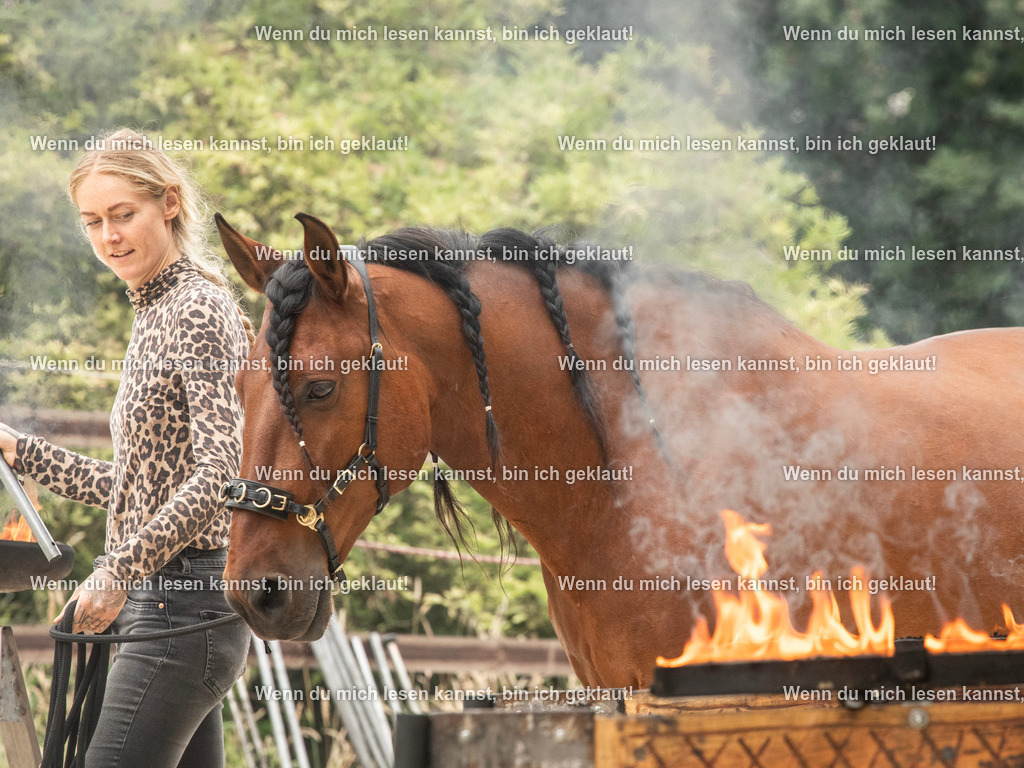 598A7895 | photographylinaismer - Realisiert mit Pictrs.com