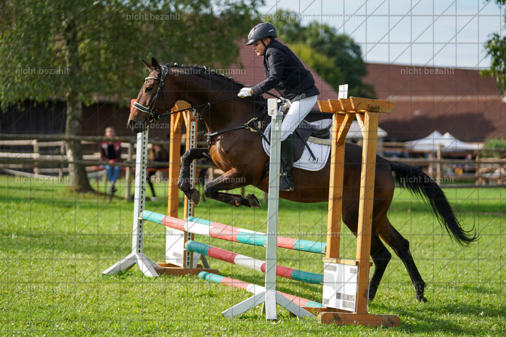 20230917-FAH09103 | Landsberg am Lech, 2023, Kaufbeuren, Kempten, Allgäu, Turnierfotografen Bayern, Fotoagentur Herrmann, Turnierbilder, Reitsport Fotos, Pferdefotograf, Augsburg, Bad Tölz, Dachau, Karlsfeld, Memmingen, Buchloe, Schwabmünchen