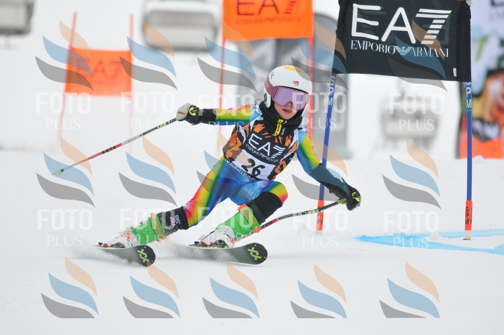 DSC_7512 | holidayphoto