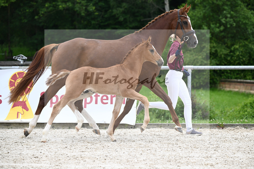 Vivaldos x Belissimo M_HF_Baier_20240242 | hf-fotografie - Realisiert mit Pictrs.com