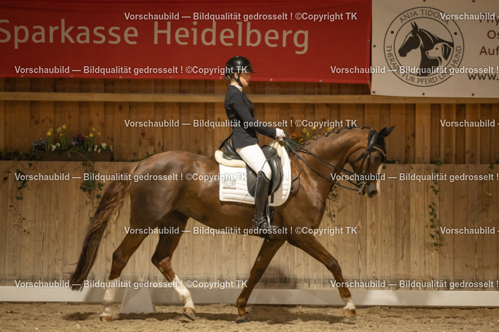 _D5A4000 | Emotionale Pferde- & People-Fotografie rund um Heidelberg, Leimen & Umgebung. Natürliche Fotos von Pferd, Mensch & Familie. Jetzt Termin sichern!