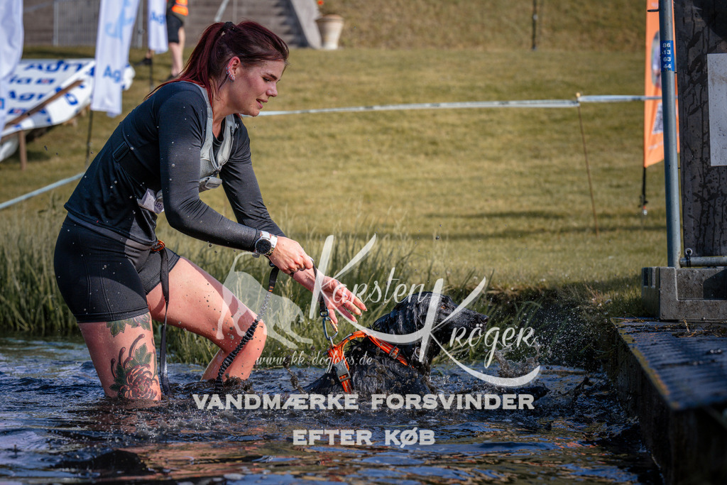 _ZZ955300726 | kk-dogfotos