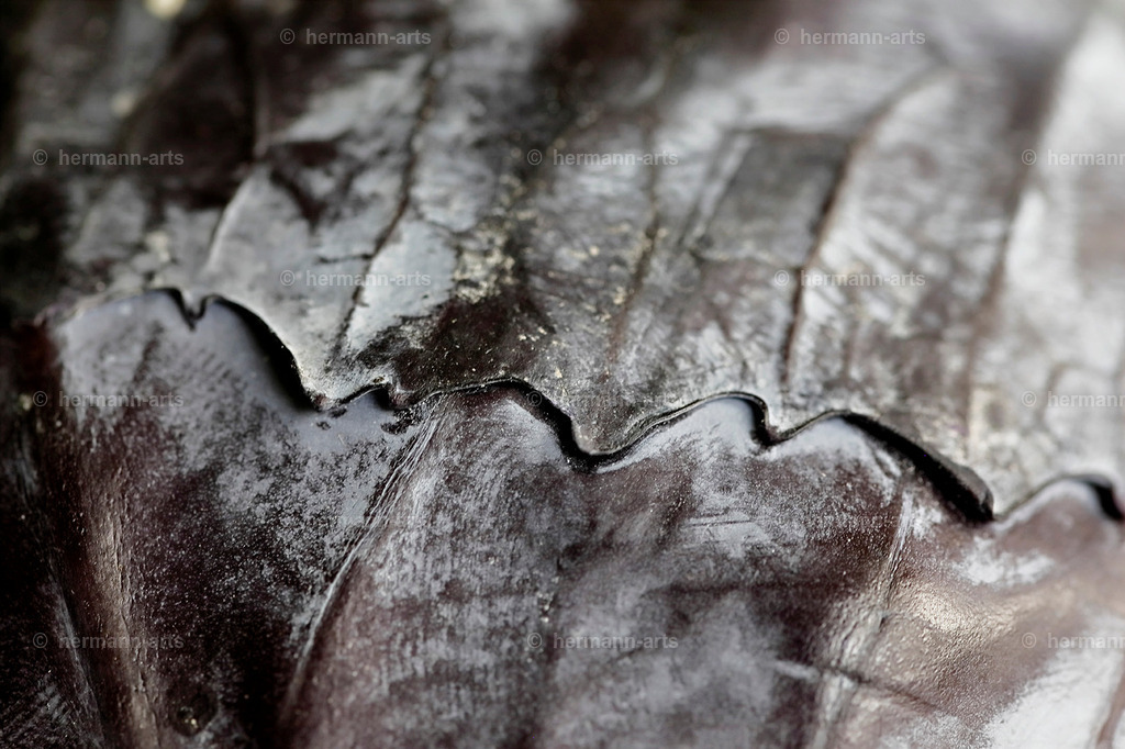 Fruits-Art-008 | Photo Foto Kunst Art schwarzweiss Bilder Rheine Münster Berlin Blumen 