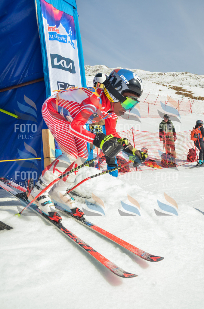 _ELE4274 | holidayphoto