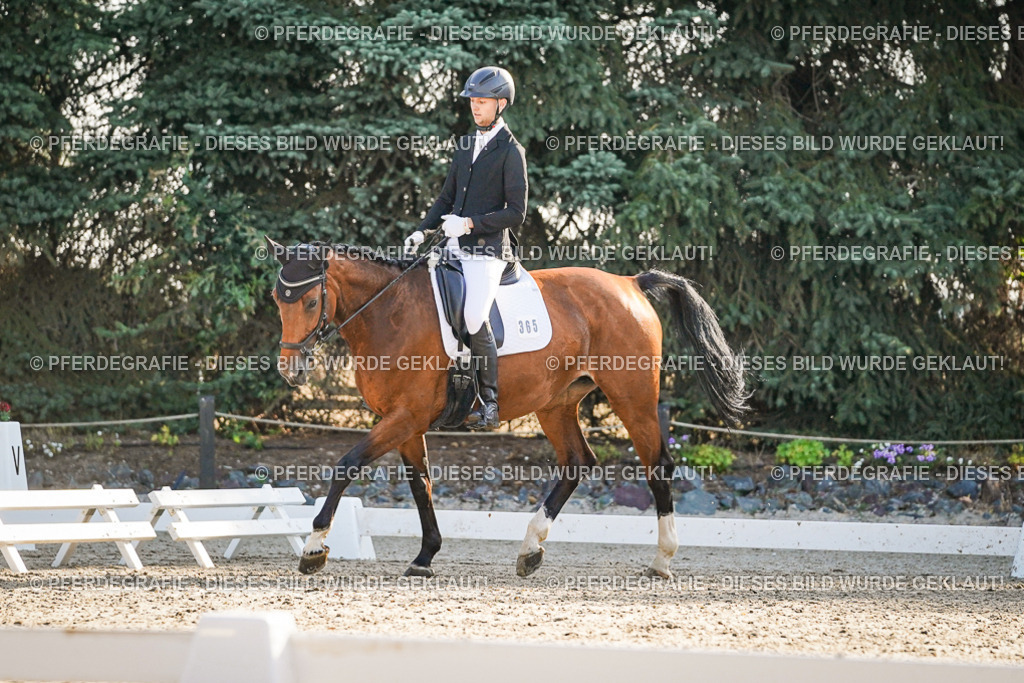 DSC08370 | Pferdegrafie