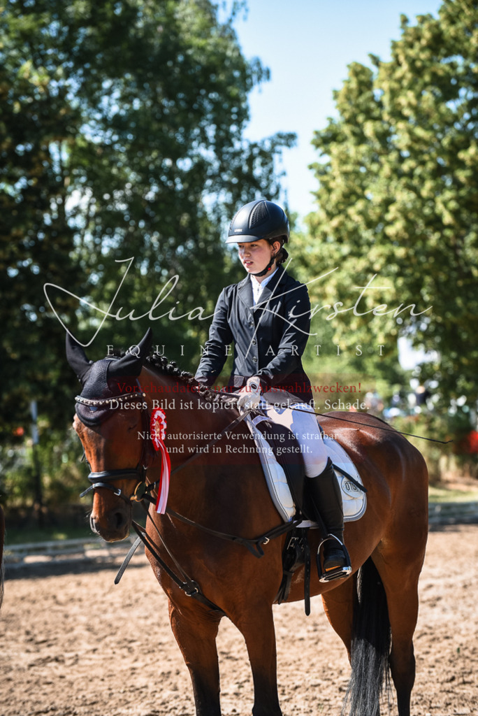 DSC_3676 | Pferde- und Turnierfotografie in Westsachsen. Pferdeportraits, Auftragszeichnungen und intuitive Kunst.