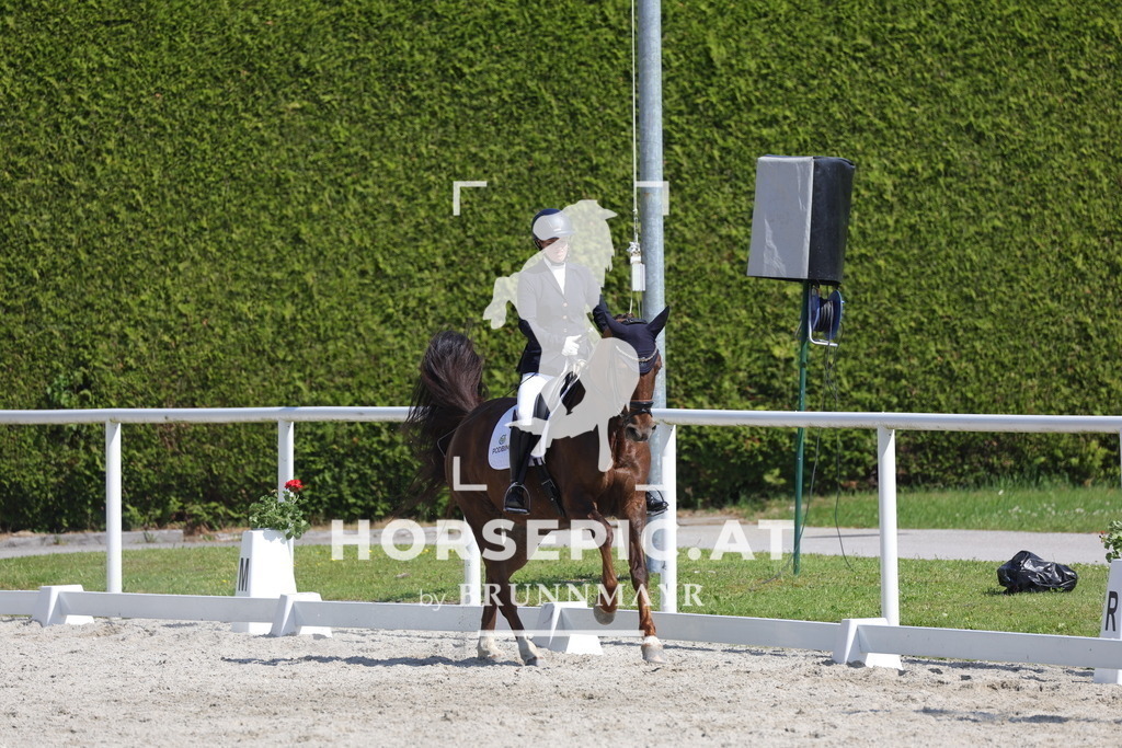 0P6A2936 | Willkommen bei Brunnmayr - Design & Fotografie – Ihrem Spezialisten für Reitturniere und Pferdeveranstaltungen in Oberösterreich, Salzburg und Bayern! Seit über 17 Jahren sind wir leidenschaftlich dabei.