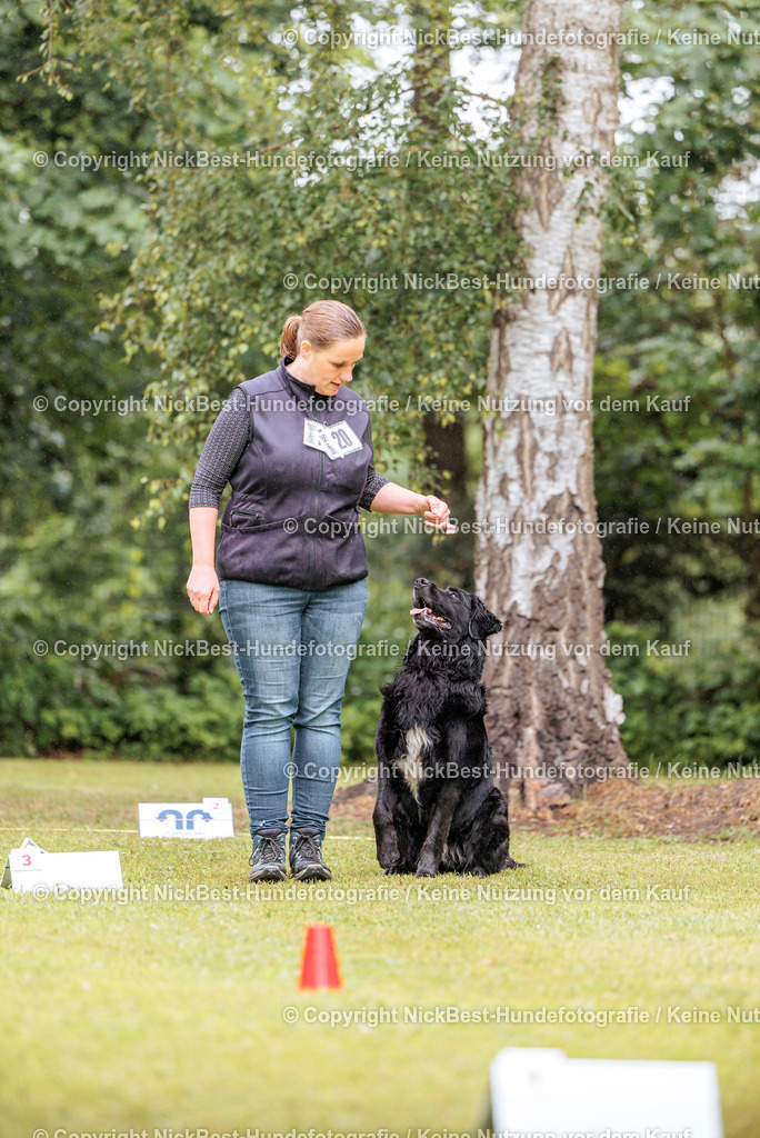 RO-Blumenthal-2026-Nickbest-Hundefotografie-0514 | Dein Hund! Dein Moment! Deine Erinnerungen! Hundefotografie in Bremen Blumenthal. Ich fange die besonderen Momente deines Vierbeiners ein – ob Indoor mit Blitzanlage oder in der freien Natur. Sicher dir dein Moment und dein Termin für eure Erinnerungen.