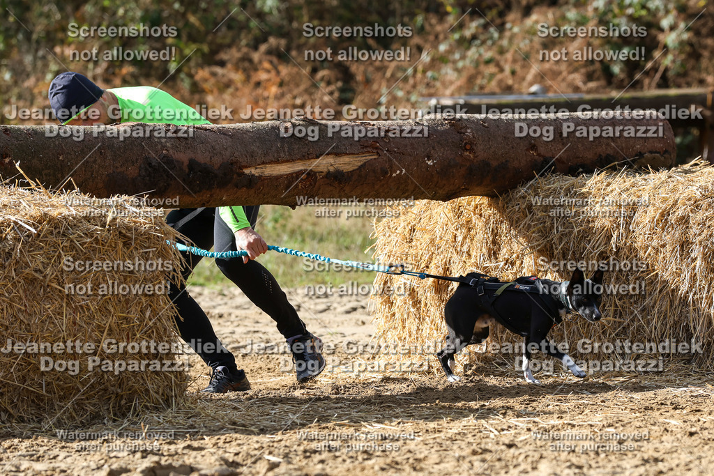 Dog Paparazzi - Strongdog 10-25-5487 | Dog Paparazzi Jeanette Grottendiek Fotografie & Videografie - Realisiert mit Pictrs.com