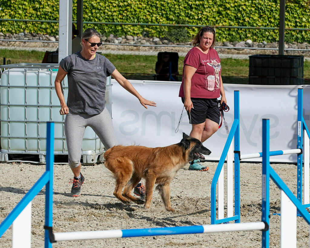 580B0090 | Peter Fridle Fotografie - Realisiert mit Pictrs.com