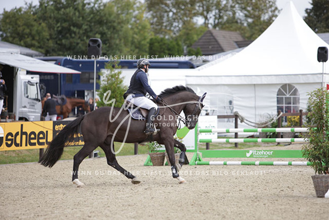 1J2A0992Alberto Rodriguez Lopez_ Ellington 16_ Kn433_ Havekost | Foto- und Videografie für alles rund ums Pferd. Hochwertige Bilder und Videos vom Spring- und Dressurreiten, Voltigieren & mehr. Jetzt aktuelle Veranstaltungen und Preise im Shop ansehen. - Realisiert mit Pictrs.com