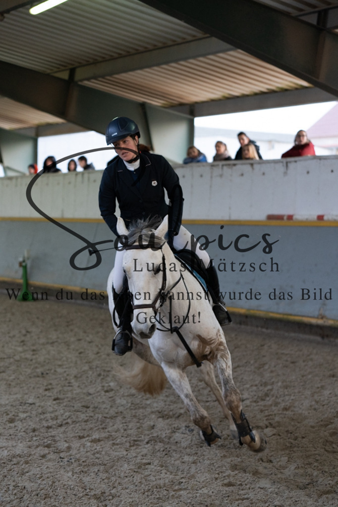 A7V04536 | Pferdefotograf