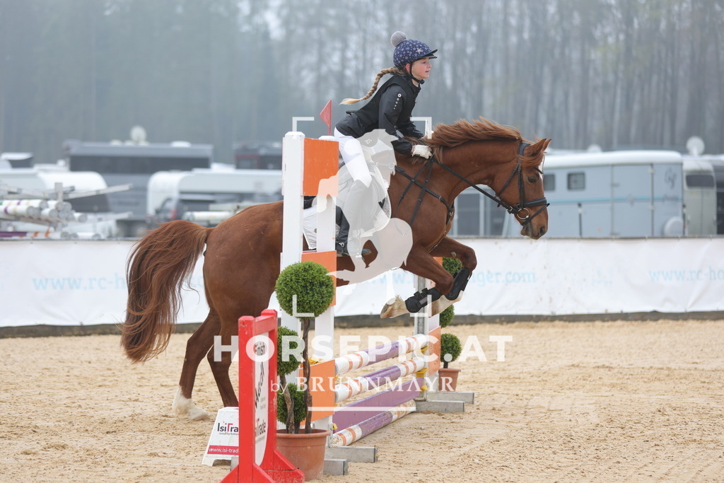 0P6A8226 | Willkommen bei Brunnmayr - Design & Fotografie – Ihrem Spezialisten für Reitturniere und Pferdeveranstaltungen in Oberösterreich, Salzburg und Bayern! Seit über 17 Jahren sind wir leidenschaftlich dabei.