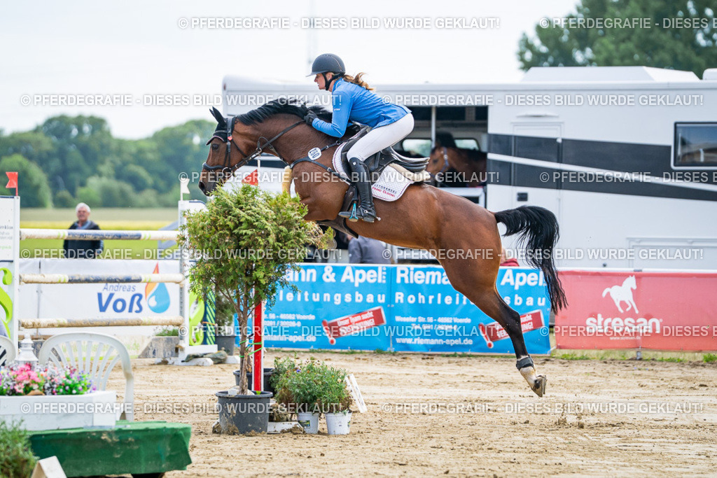 DSC06741 | Pferdegrafie