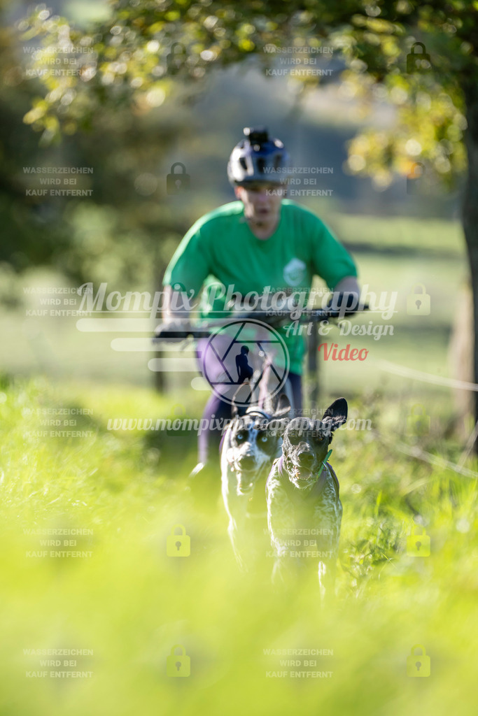 MompixPhotography_20TSB_E3_DS2-14 | PayLife