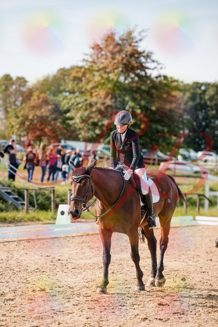 2026_10_03_Siefer-Hof_130545_Z63_69579213 | Professionelle Reitsport-, Turnier- und Eventfotografie von Robert Broda. Galerien mit ausgewählten und bearbeiteten Bildern direkt online ansehen und bestellen.