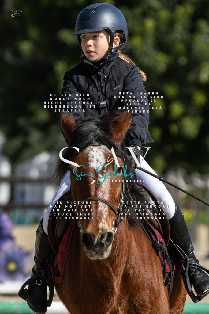 IMG_6007 | s-jay-photography - Realisiert mit Pictrs.com