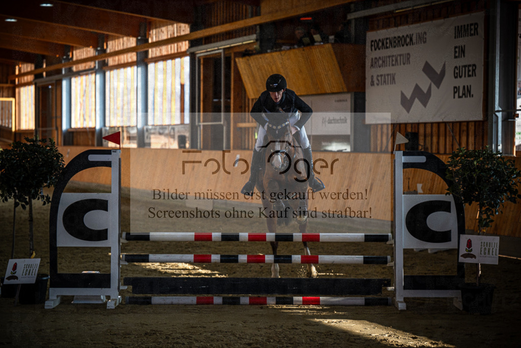 DOS_1303 | Entdecke hochwertige Reitturnierfotos von Foto Oger. Professionell, emotional und authentisch – jetzt Lieblingsmomente im Shop bestellen.Deutschlandweite Turnierfotografie. - Realisiert mit Pictrs.com